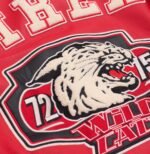 Avirex Wild Cat Varsity Leather Jacket