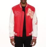 Avirex Wild Cat Varsity Leather Jacket