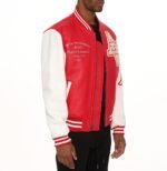 Avirex Wild Cat Varsity Leather Jacket