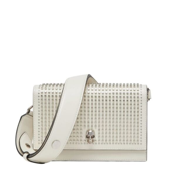 Alexander McQueen Women's the Biker small skull bag