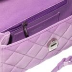 CHANEL MINI FLAP BAG