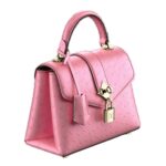 LOUIS VUITTON ROSE DES VENTS MINI