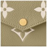 LOUIS VUITTON FELICIE POCHETTE