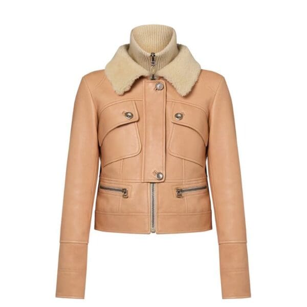 LOUIS VUITTON SHEARLING COLLAR LEATHER JACKET