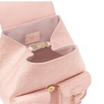 LOUIS VUITTON BACKUP