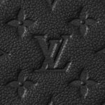 LOUIS VUITTON DAILY POUCH
