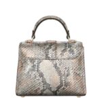 LOUIS VUITTON ROSE DES VENTS MINI