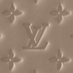 LOUIS VUITTON COUSSIN MM