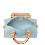 LOUIS VUITTON NANO SPEEDY