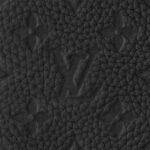 LOUIS VUITTON SAC PLAT 24H