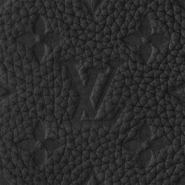 LOUIS VUITTON SACPLAT 24H