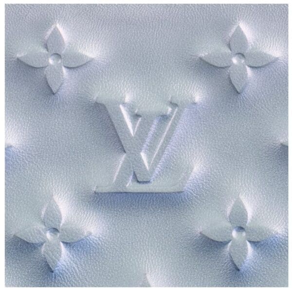 LOUIS VUITTON COUSSIN BB