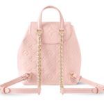 LOUIS VUITTON BACKUP