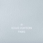 LOUIS VUITTON SIDE TRUNK PM