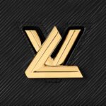 LOUIS VUITTON TWIST BELT CHAIN POUCH