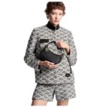 LOUIS VUITTON MINI MOON