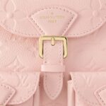 LOUIS VUITTON BACKUP