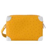 LOUIS VUITTON MINI SOFT TRUNK