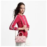 LOUIS VUITTON SPEEDY BANDOULIERE 20