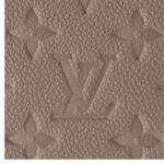 LOUIS VUITTON EASY POUCH ON STRAP