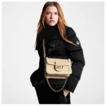 LOUIS VUITTON MINI DAUPHINE