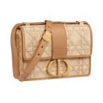 DIOR MONTAIGNE BAG