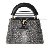 LOUIS VUITTON CAPUCINES NANO