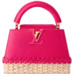 LOUIS VUITTON CAPUCIINES MINI