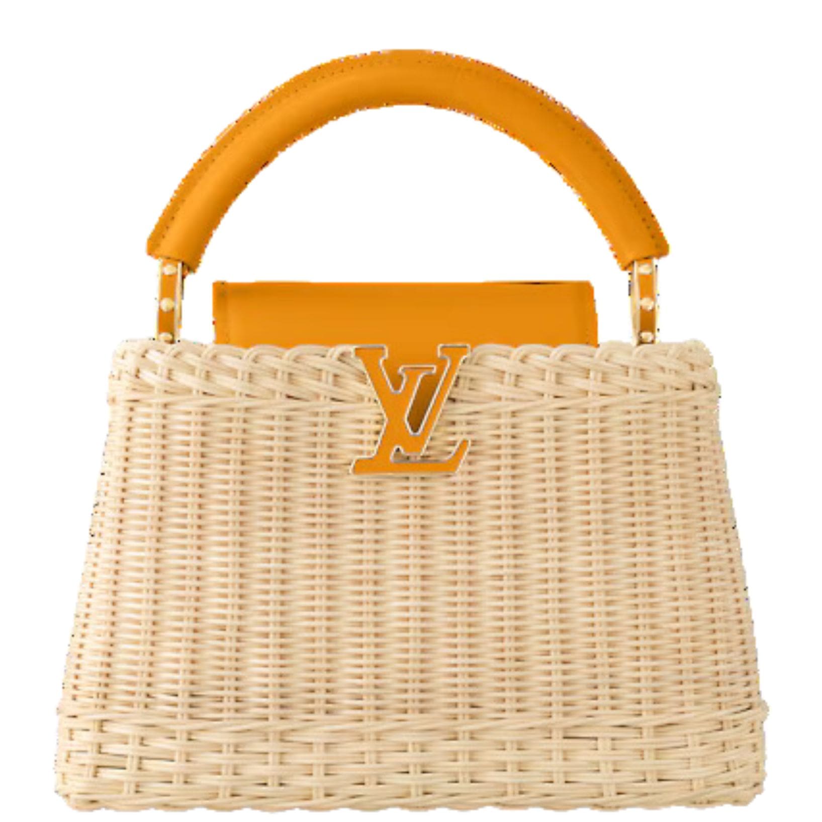 LOUIS VUITTON CAPUCIINES BB 1 LOUIS VUITTON CAPUCIINES BB