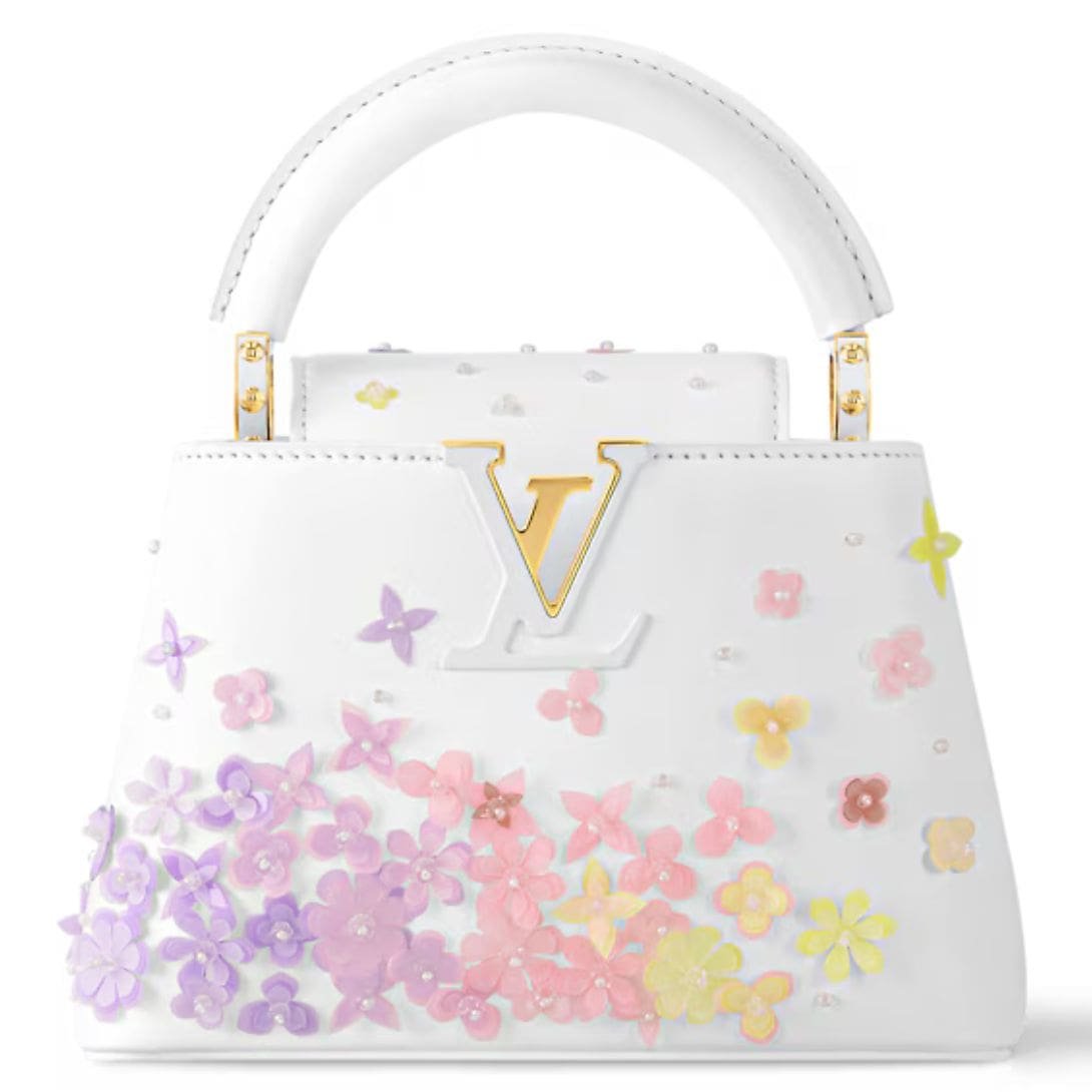 LOUIS VUITTON CAPUCINES MINI 1 LOUIS VUITTON CAPUCINES MINI
