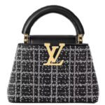 UIS VUITTON CAPUCINES MINI