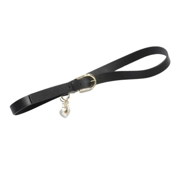 CHANEL BELT