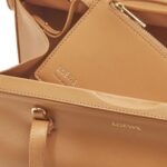 LOEWE SMALL CLASP BAG IN SOFT CALFSKIN