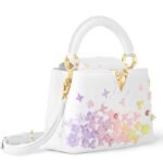 LOUIS VUITTON CAPUCINES MINI