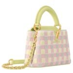 LOUIS VUITTON CAPUCINES MINI