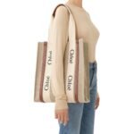 CHLOE WOODY N/S TOTE BAG SEPIA BROWN