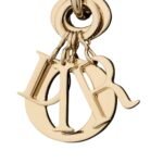 DIOR EXTRA LARGE D SIRE BAG