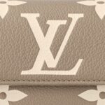LOUIS VUITTON WALLET ON CHAIN IVY