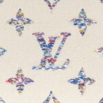 LOUIS VUITTON WALLET ON CHAIN IVY