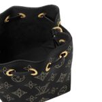 LOUIS VUITTON PICO BELLA