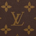 LOUIS VUITTON DAILY POUCH