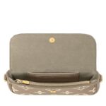 LOUIS VUITTON WALLET ON CHAIN IVY