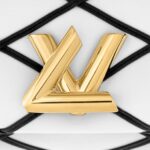 LOUIS VUITTON PICO GO 14