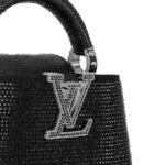 LOUIS VUITTON CAPUCINES NANO