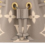 LOUIS VUITTON NANO NOE