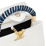 LOUIS VUITTON CAPUCINES BB
