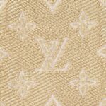 LOUIS VUITTON MICRO VANITY