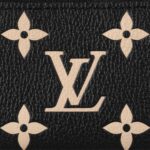 LOUIS VUITTON KEY POUCH