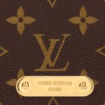LOUIS VUITTON WALLET ON CHAIN LILY