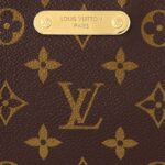 LOUIS VUITTON LIV POCHETTE